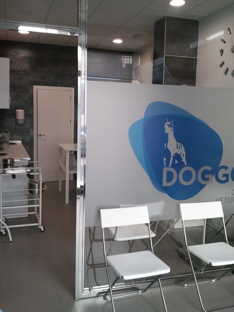 Centro Veterinario Doggos — Del propietario