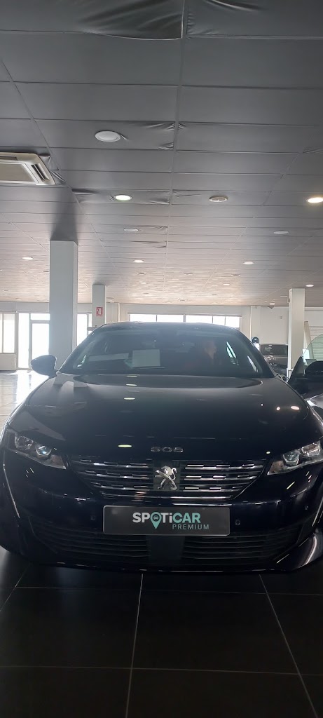 Peugeot - Caetano Motors Malaga - Marbella — Interior