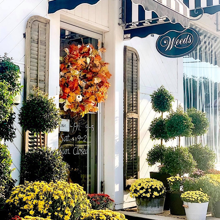 Weeds Florals, Designs & Decor