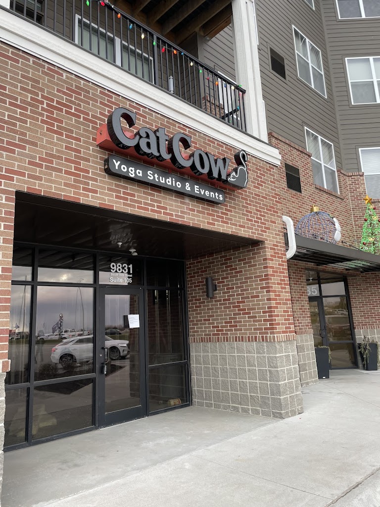  Cat Cow Yoga Studio & Events