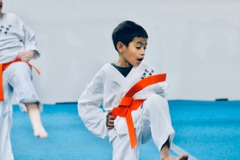  Karate Shorin-Ryu Westwood