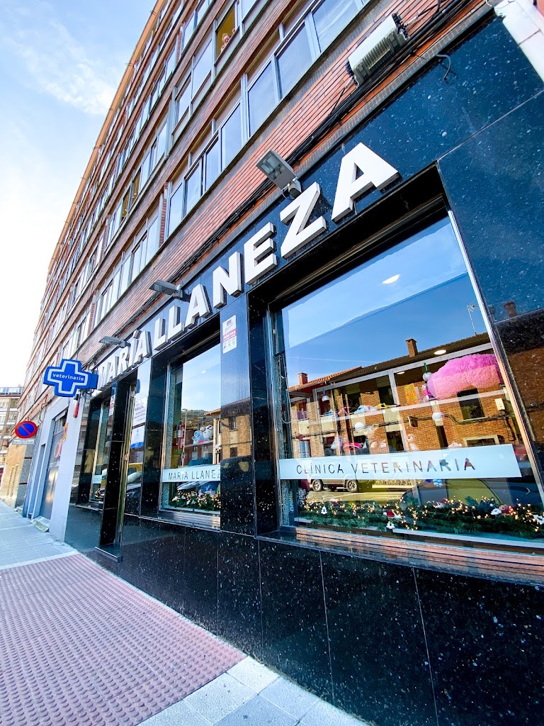Clinica Veterinaria Maria Llaneza