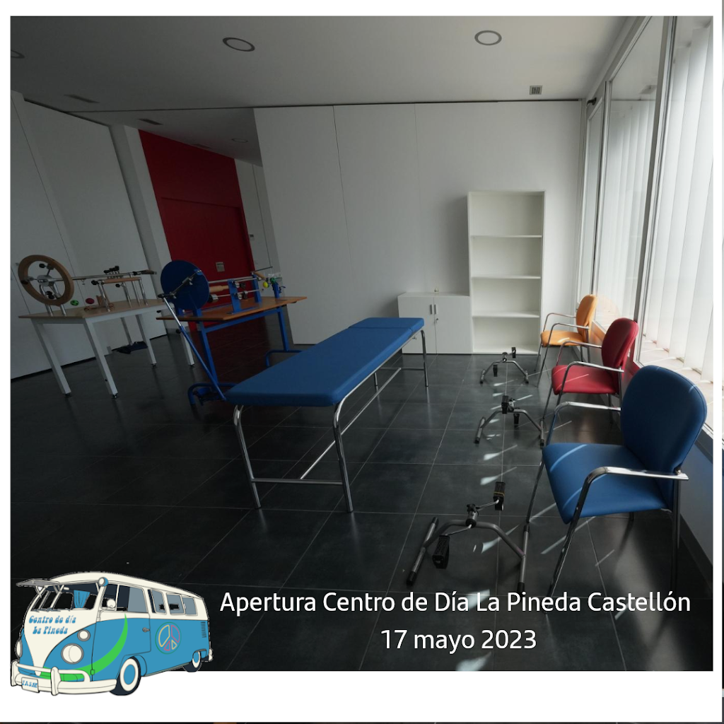 AFA Castellon (Fundacion Salome Moliner) Centro de dia La Pineda — Del propietario