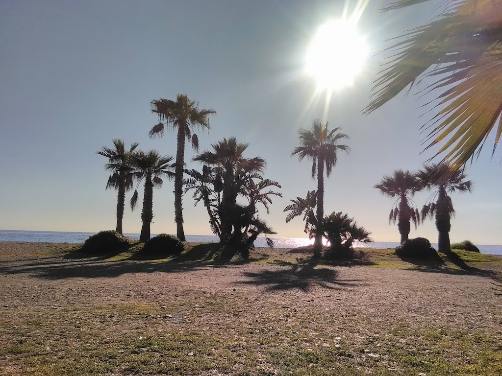 Almunecar Balobar Sa