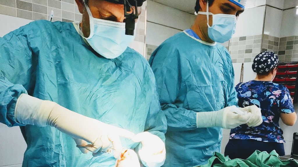 Clinica Veterinaria Vivero