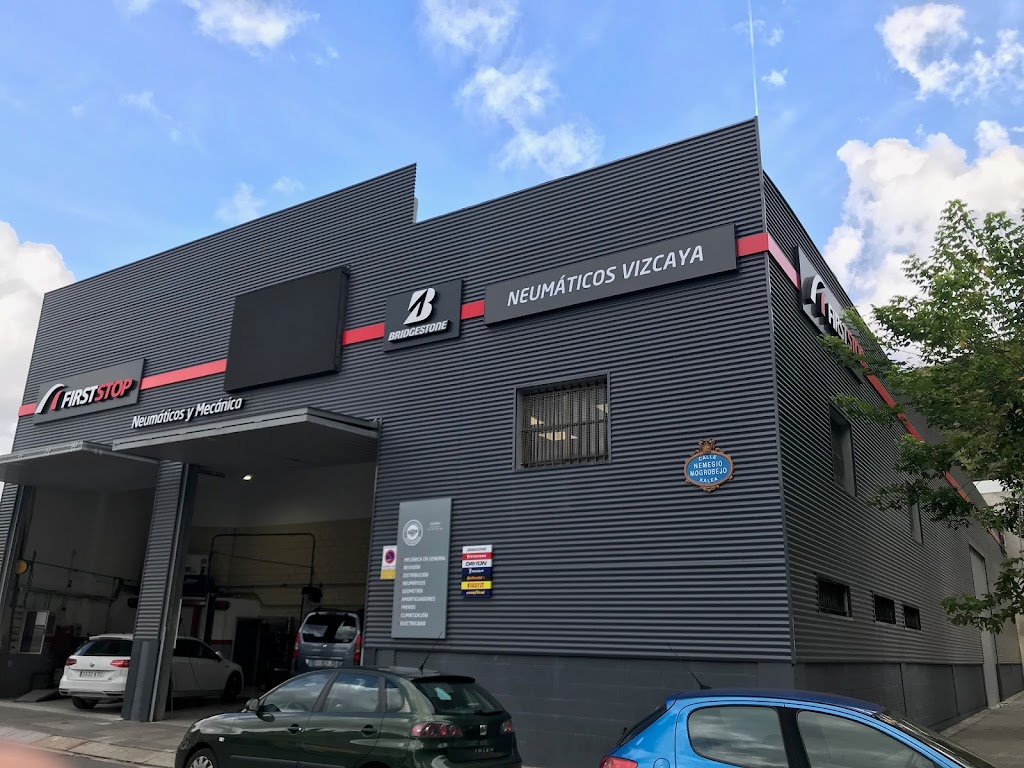 NEUMATICOS VIZCAYA BILBAO