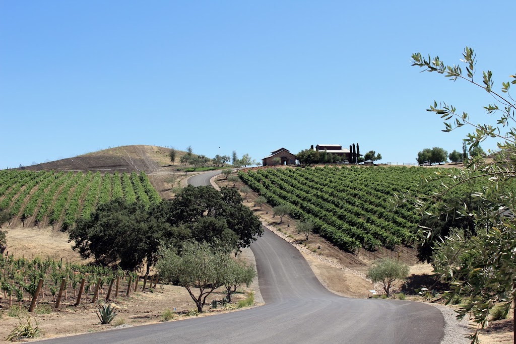Vineyard