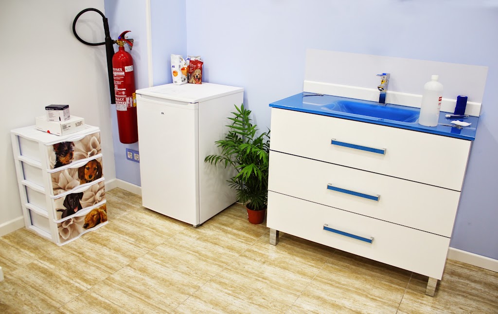 Bastet Clinica Veterinaria — Del propietario