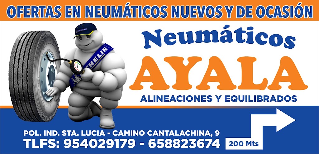 NEUMATICOS AYALA — Del propietario