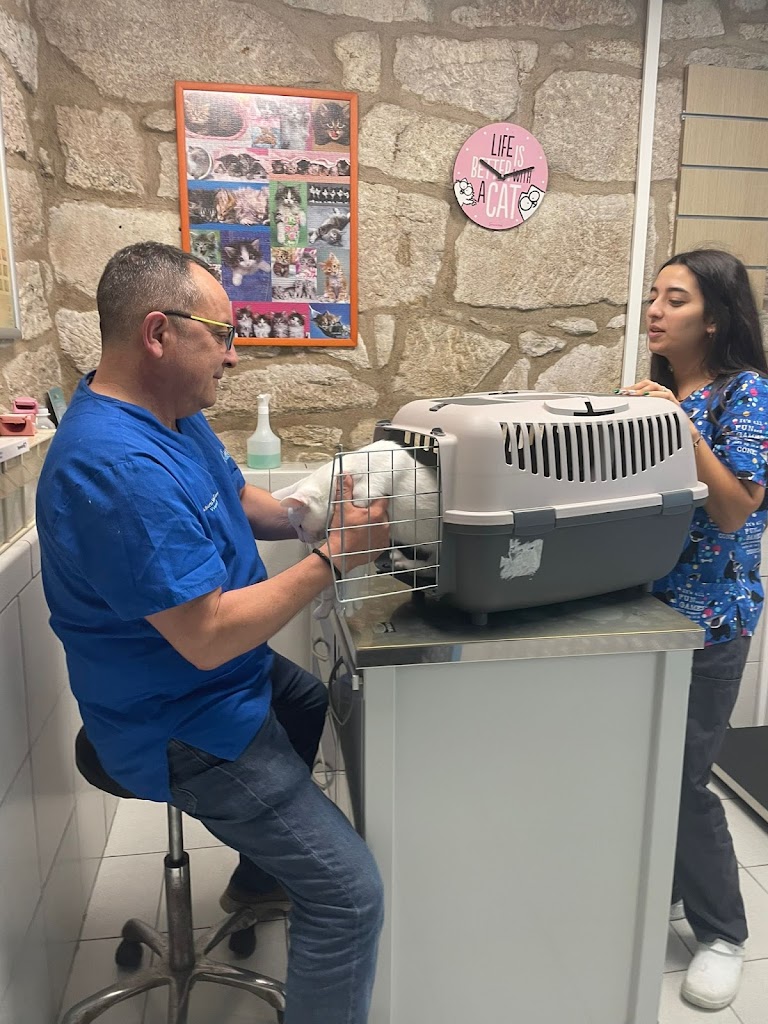 Clinica Veterinaria Mourente