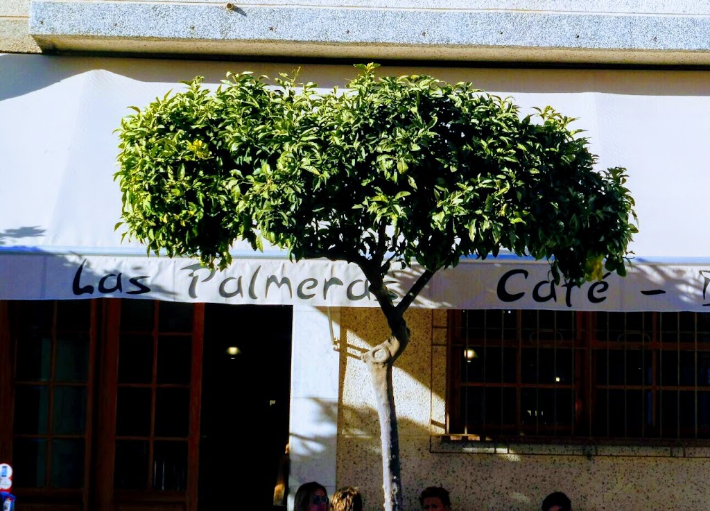 Cafe-Bar Las Palmeras