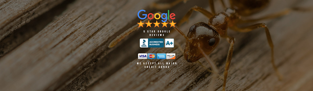 Long Island Exterminator - Optimum Pest Control