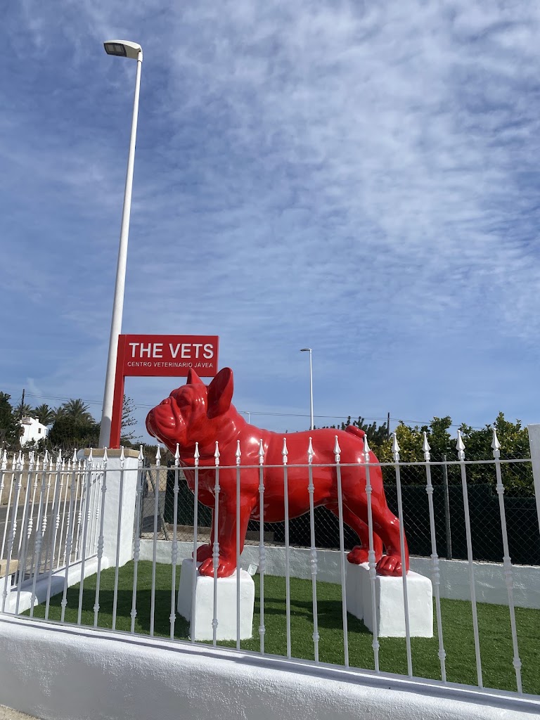 The Vets Javea — Del propietario
