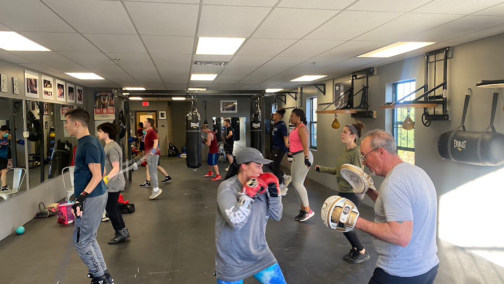  Manfredo Boxing Sports Fitness