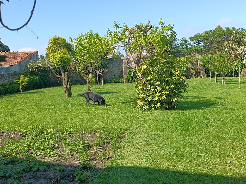 Foto da avaliação