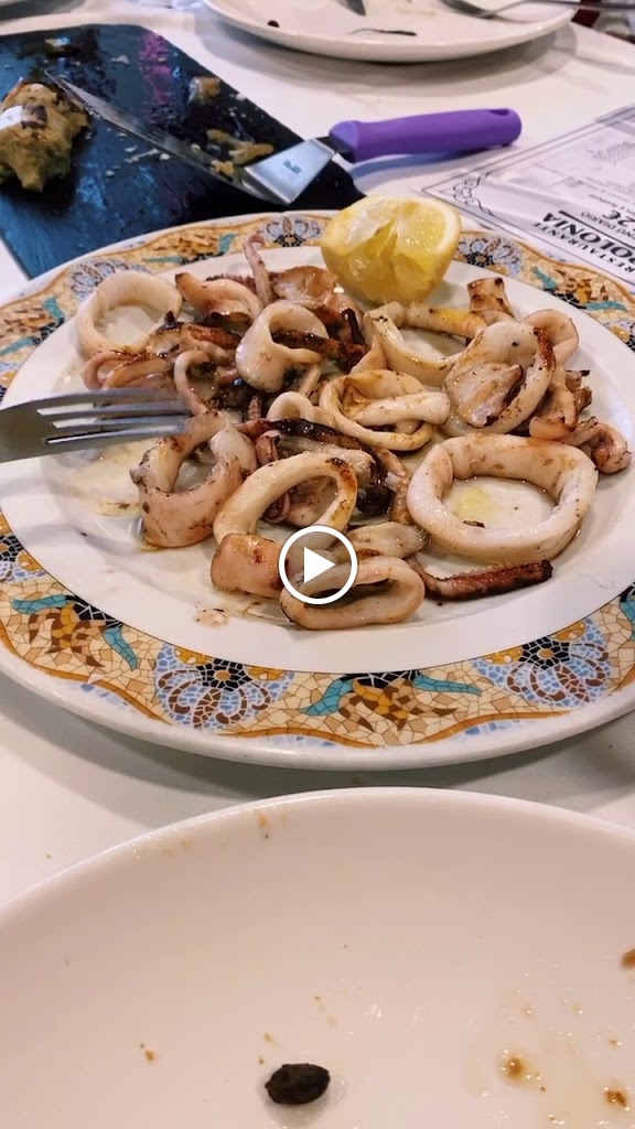 Restaurante Polonia — Videos