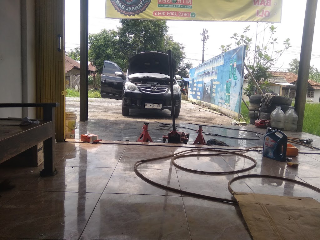 EDO TYRES