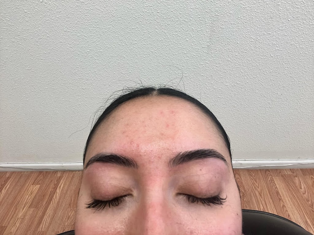 Eyebrow Lab