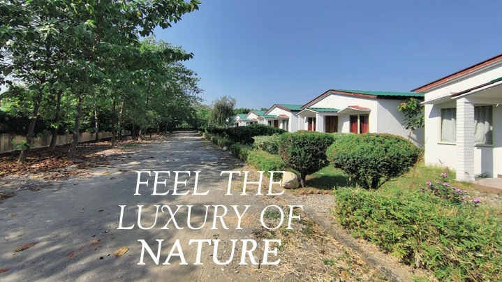 Treehouse M Grand Resort Spa Corbett