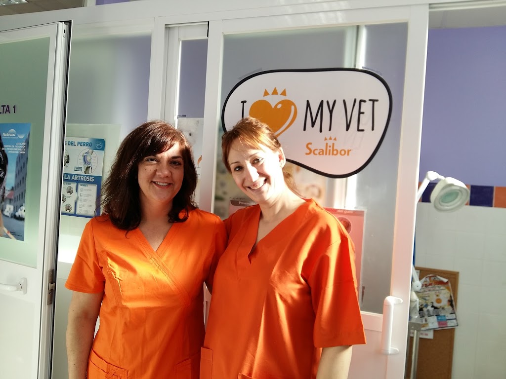 Clinica Veterinaria Mentrida