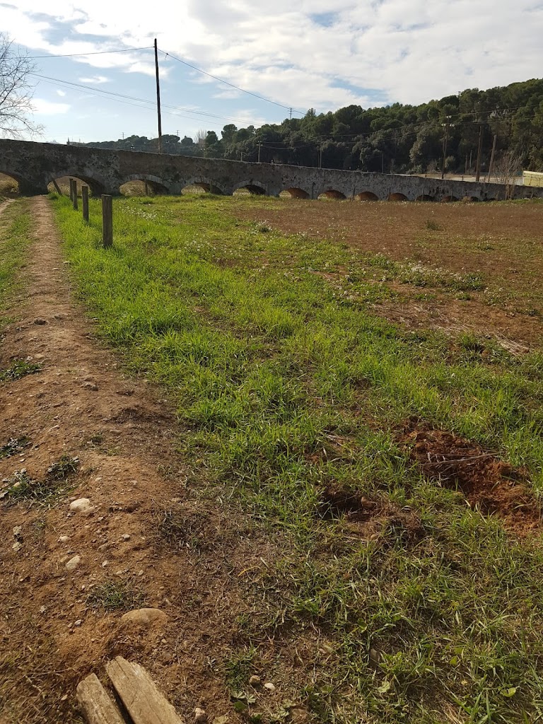 Zona Picnic Barbera - Can Llobateres