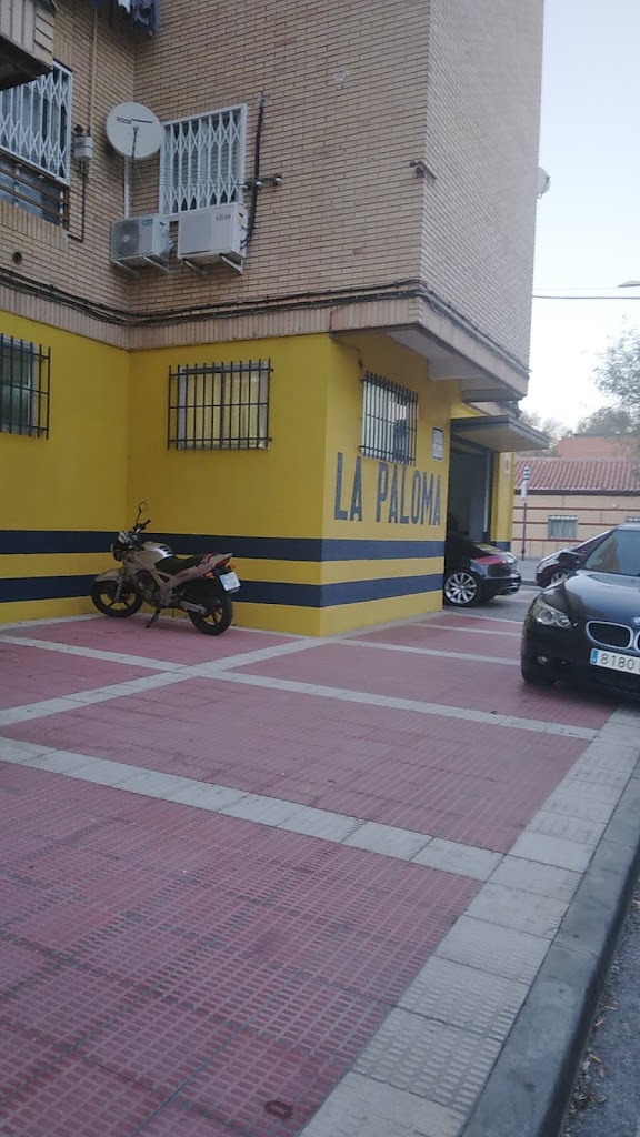 Neumaticos La Paloma