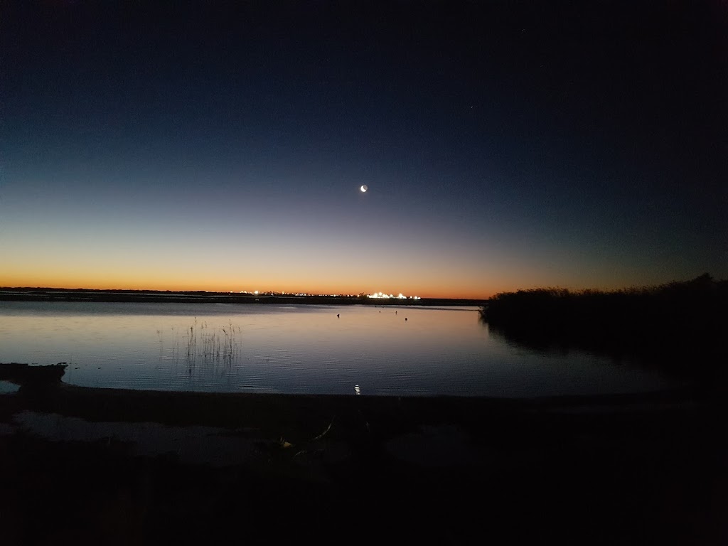 Rotonda de los Flamencos