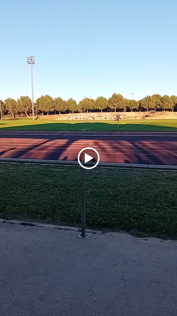 Camp de Rugby Alzira