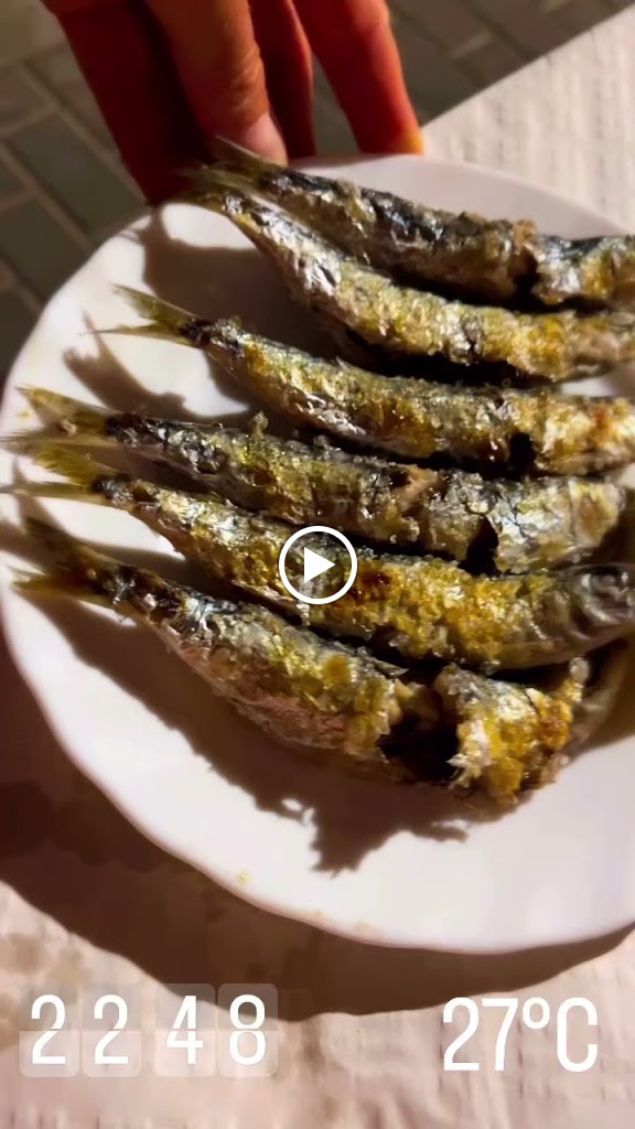 Freiduria El Cenachero de Fuengirola. Marisqueria. — Videos