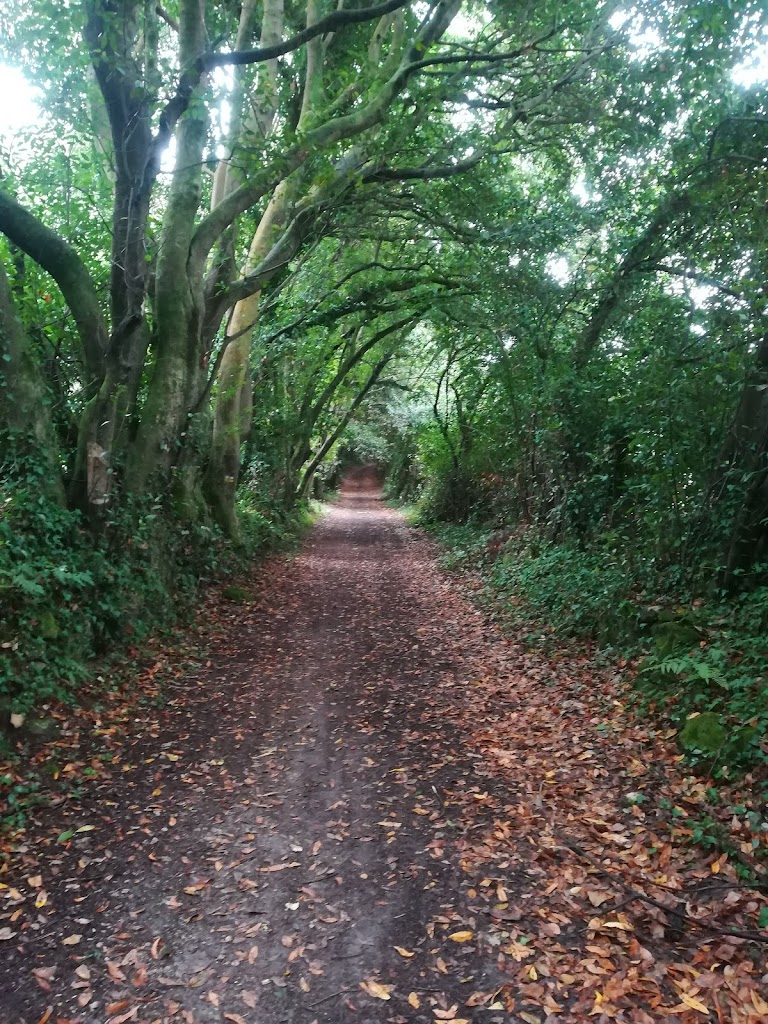 Senda del rio Sisalde