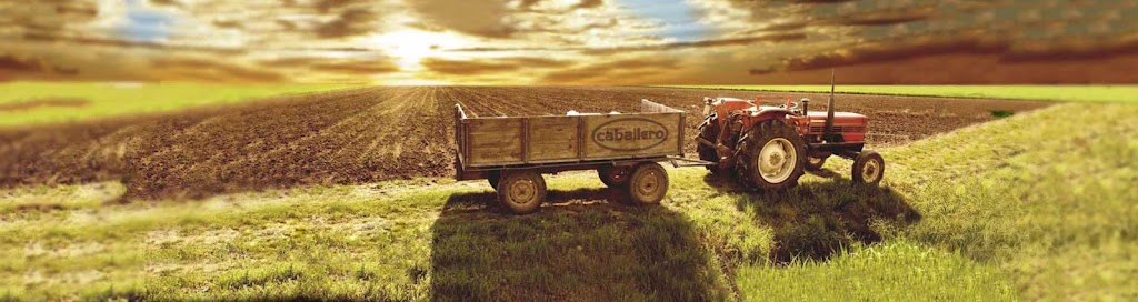 Antonio Caballero, S.L. Legumbres Caballero