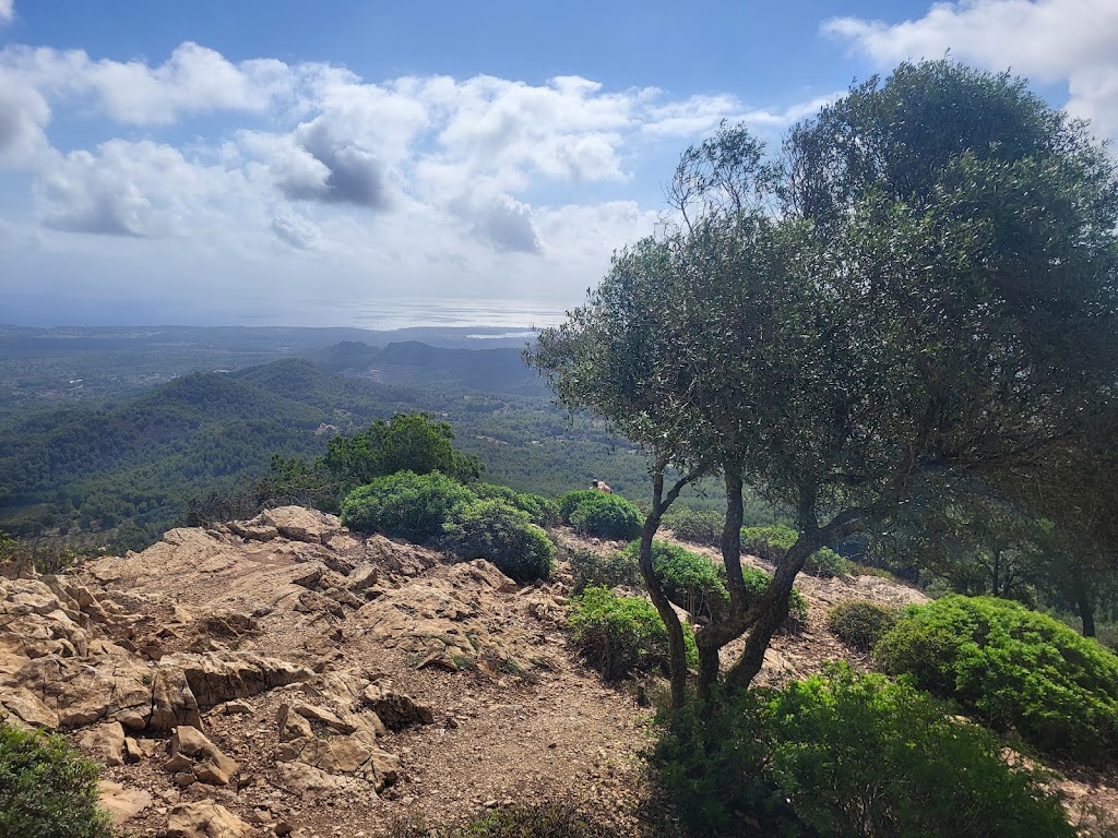 Puig de Sant Salvador — Montana