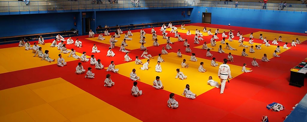 Club Taekwondo Villaviciosa de Odon — Del propietario