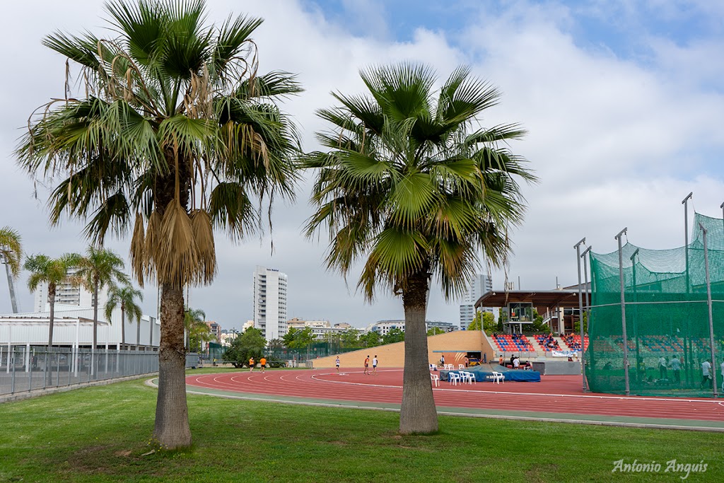 Ciudad del Deporte de Torrent