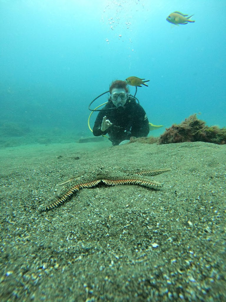 Lanzarote Dive Centre
