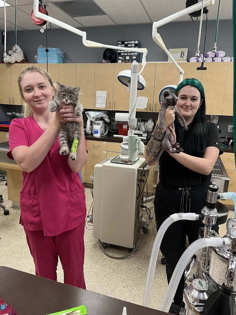 Veterinarian in Taylorsville