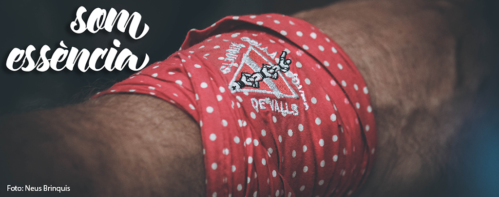 Colla Joves Xiquets de Valls