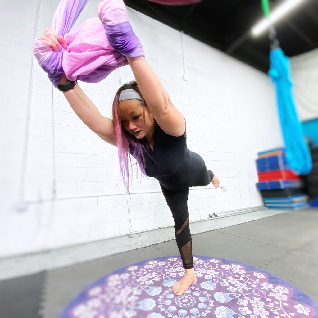  Flying Skull Aerial and Movement Arts