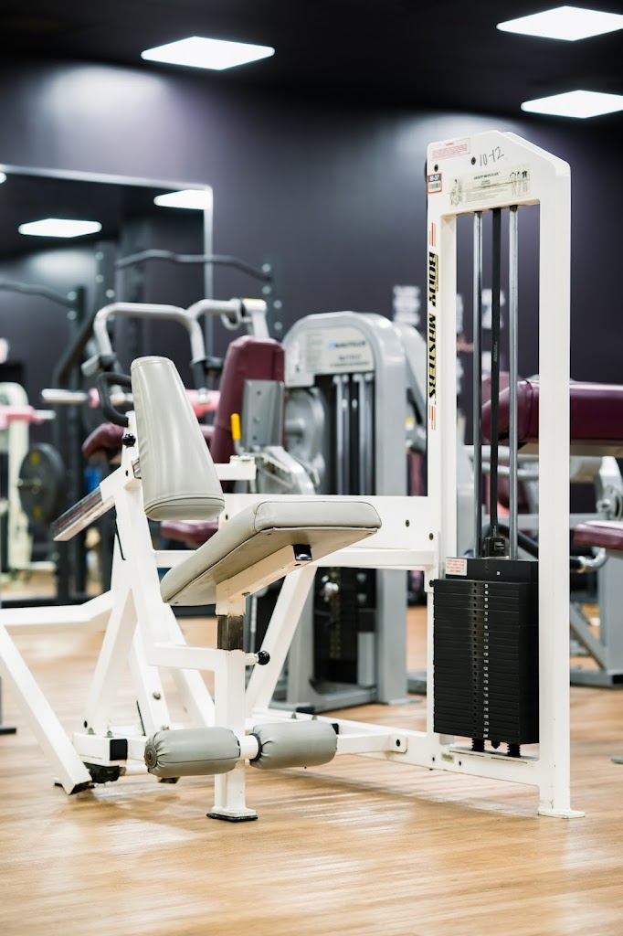  Stephitness by Iron Sight