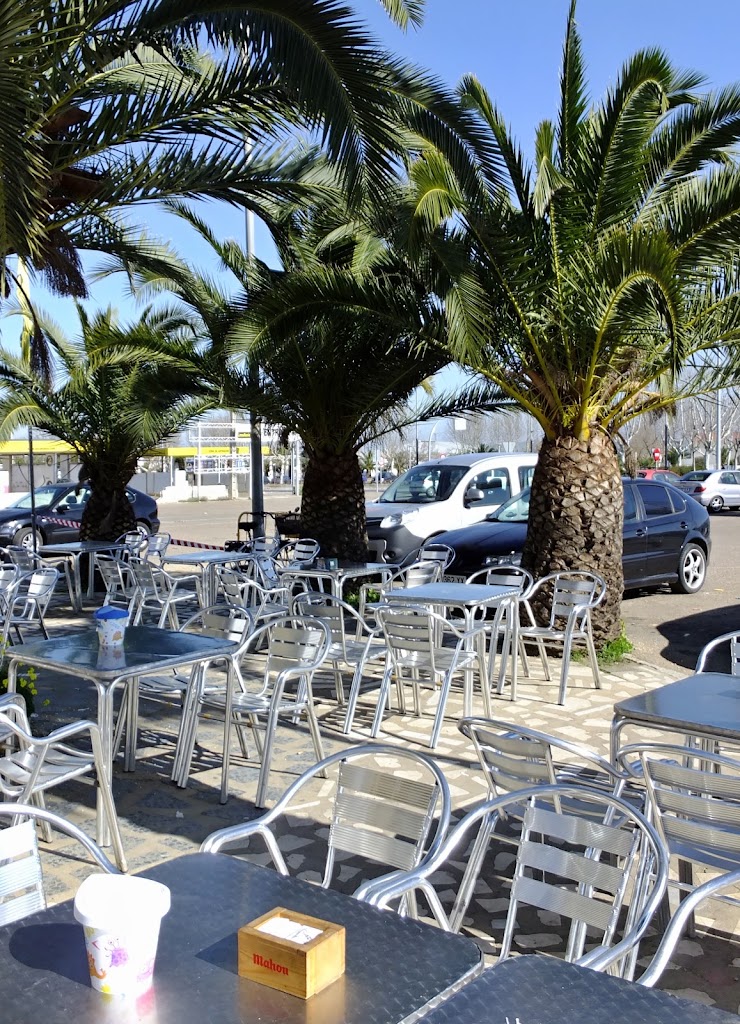 Cafeteria Las Palmeras — Ambiente