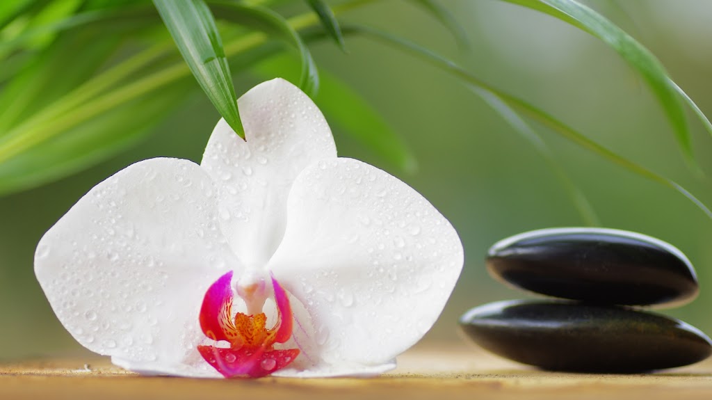 Pushyami Herbal Beauty Parlor