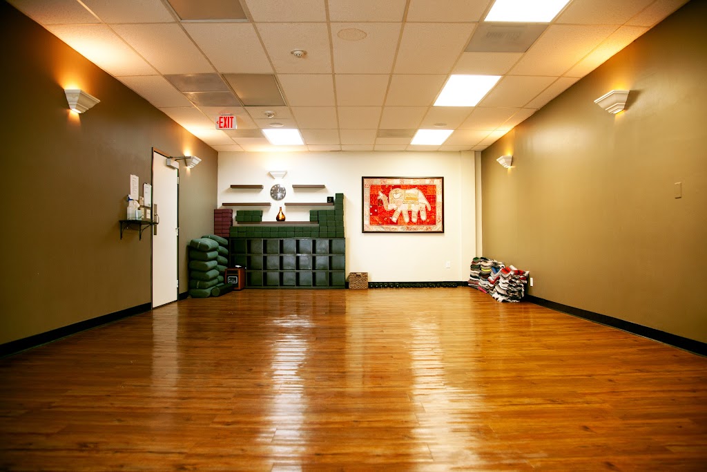  Red Diamond Yoga Palms