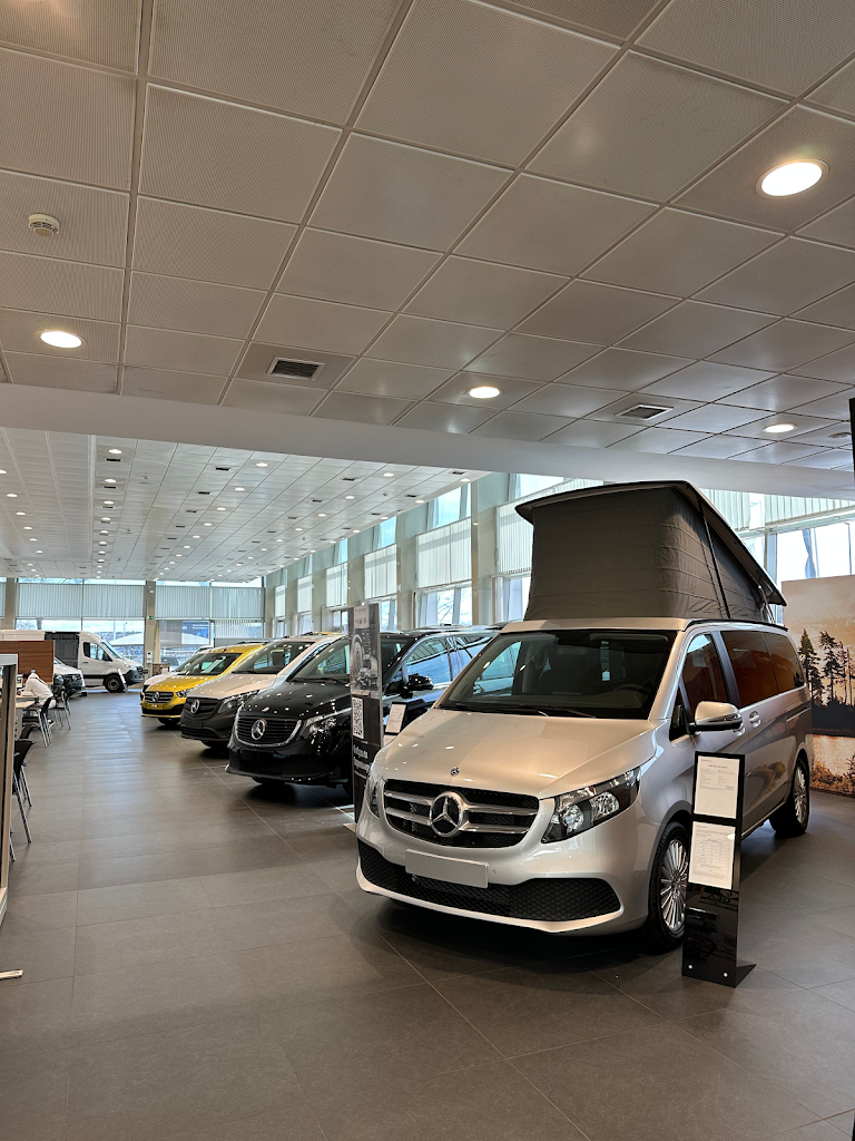 Edilfar Rent - Pinto