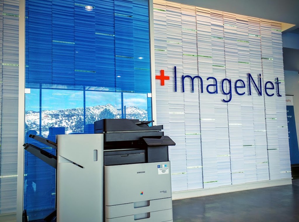 Imagenet Consulting Durango