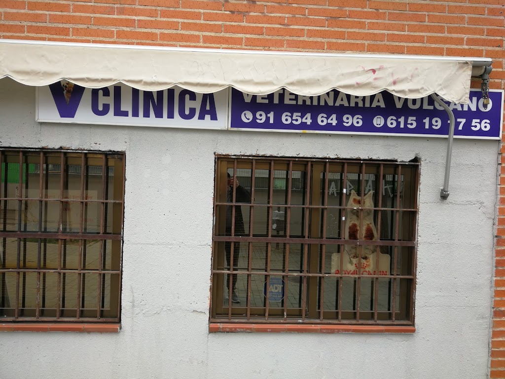 CLINICA VETERINARIA VULCANO