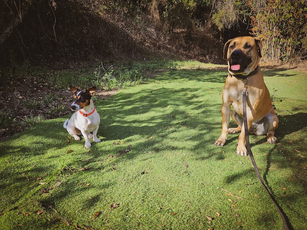 Tangoway School, La Granja de Yumi