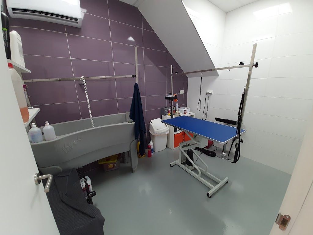 Centro Veterinario Media Legua — Del propietario