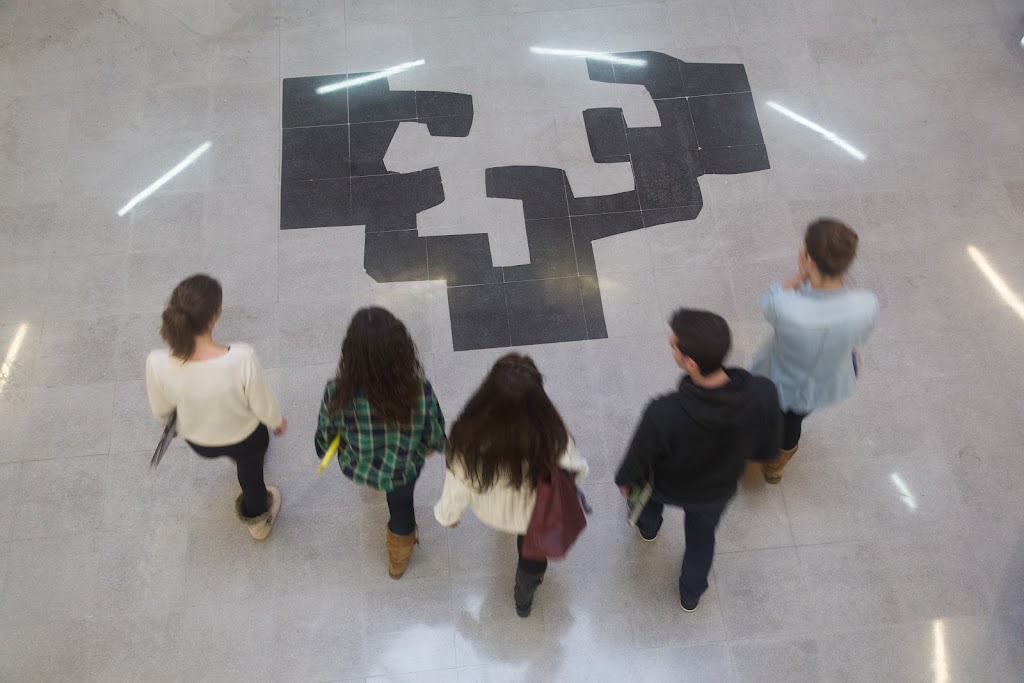 Universidad del Pais Vasco