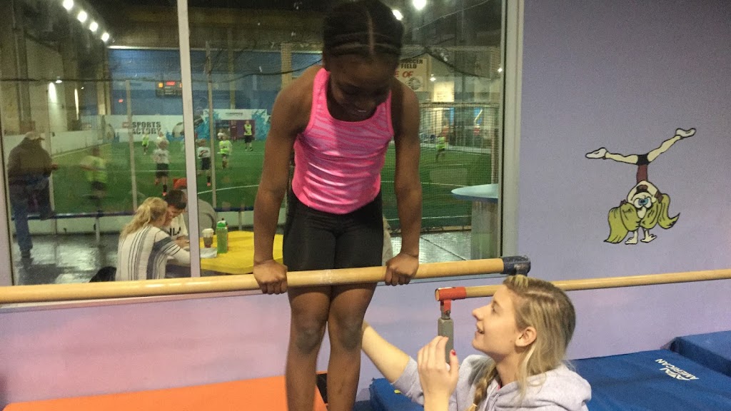  The Tumble Gym of Wake Forest Gymnastics