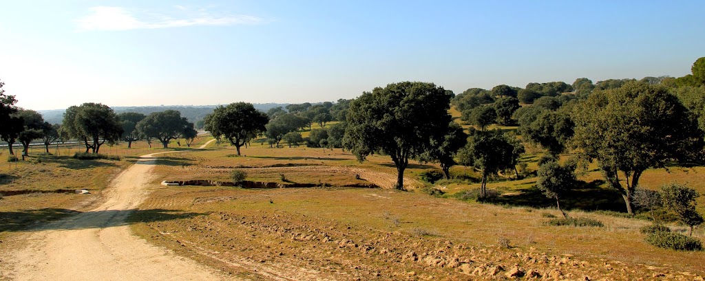 Aula Medioambiental Boadilla del Monte